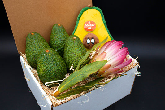Avocado Dog Toy Box