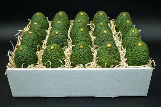 24 Large Hass Avocados - Fresh from the farm