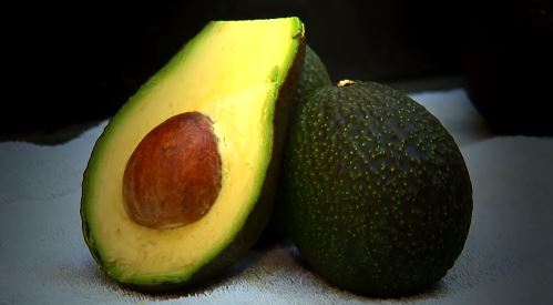 24 Large Hass Avocados - Fresh from the farm